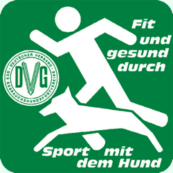 DVG logo