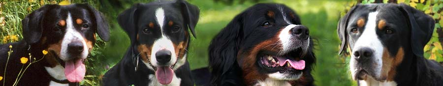 Landesgruppe Rheinland