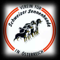 logo VSS